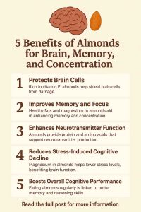 Five Key Benefits of Almonds for Cognitive Function