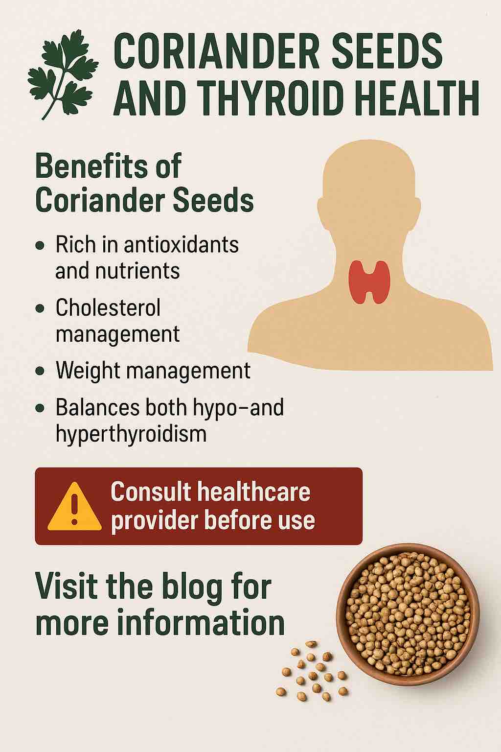 CORIANDER SEEDS AND THYROID HEALTH Benefits of Coriander Seeds