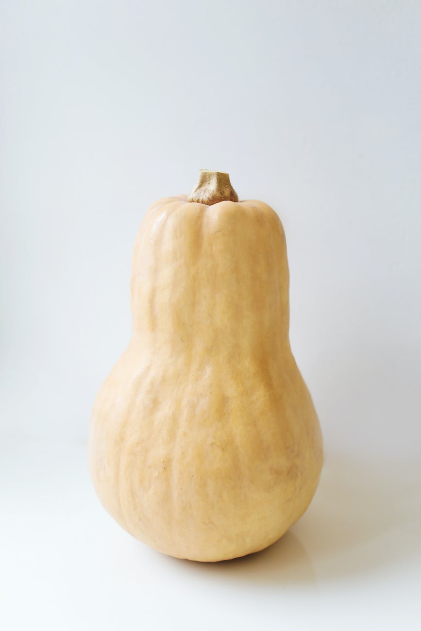 butternut squash in close up photography