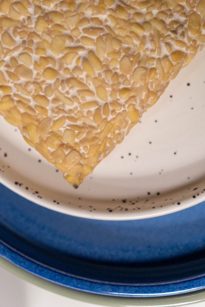 traditional asian soy product in ceramic plate