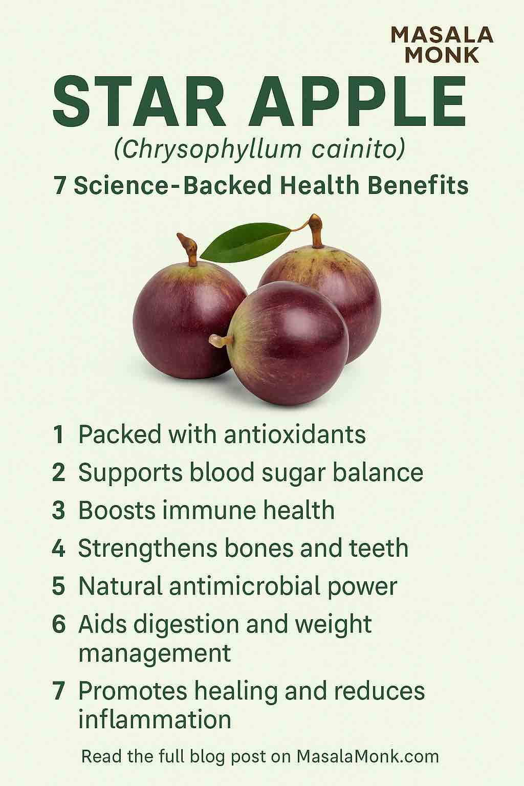 STAR APPLE (Chrysophyllum cainito)