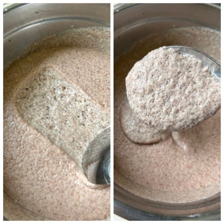 Fermented RAGI (Finger Millet) IDLIS- Gluten Free | Gut Friendly ...