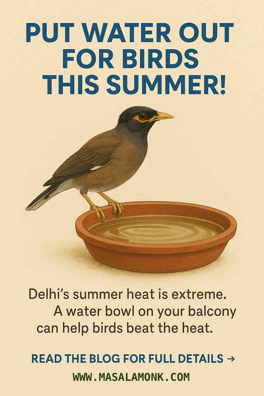 PUT WATER OUT FOR BIRDS THIS SUMMER!