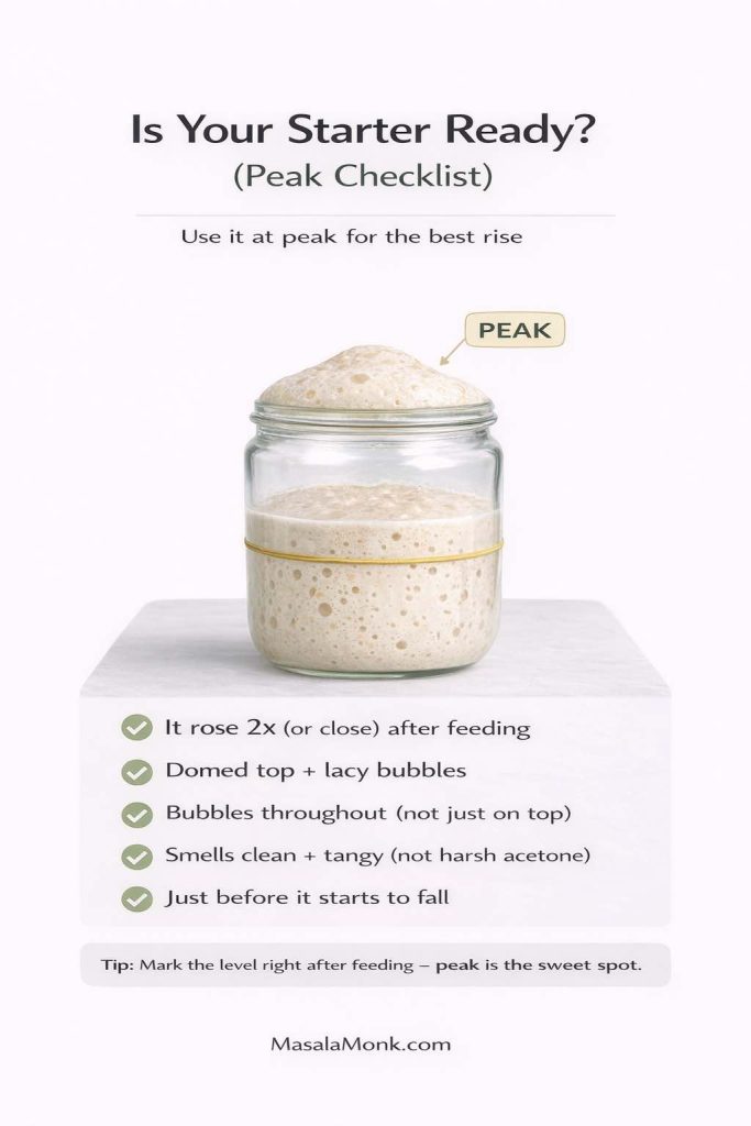 Infographic titled “Is Your Starter Ready? (Peak Checklist)” showing a glass jar of sourdough starter marked with a rubber band and domed at peak with visible bubbles, labeled “PEAK.” Checklist items: it rose 2× (or close) after feeding; domed top with lacy bubbles; bubbles throughout, not just on top; smells clean and tangy, not harsh acetone; and it’s just before it starts to fall. Tip reads: “Mark the level right after feeding — peak is the sweet spot.” Footer reads MasalaMonk.com.