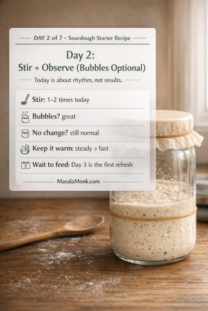 Infographic over a realistic kitchen photo of a glass jar containing early sourdough starter on a wooden countertop with a rubber band marking the level. The overlay text reads “DAY 2 of 7 • Sourdough Starter Recipe” and “Day 2: Stir + Observe (Bubbles Optional).” It lists: stir 1–2 times today, bubbles are great, no change is still normal, keep it warm for steadier fermentation, and wait to feed because Day 3 is the first refresh. MasalaMonk.com is shown in the footer.