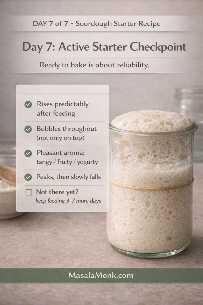 Infographic titled “DAY 7 of 7 • Sourdough Starter Recipe” and “Day 7: Active Starter Checkpoint” over a realistic photo of a glass jar of sourdough starter at peak rise with a domed top and many bubbles; a rubber band marks the level. The checklist reads: rises predictably after feeding, bubbles throughout (not only on top), pleasant aroma tangy/fruity/yogurty, peaks then slowly falls, and if not there yet keep feeding 3–7 more days. MasalaMonk.com appears in the footer.