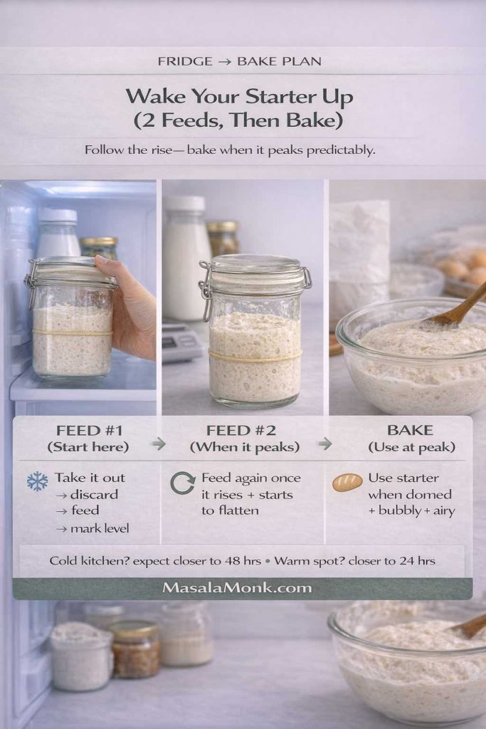 Infographic titled “Fridge → Bake Plan” and “Wake Your Starter Up (2 Feeds, Then Bake).” It shows three panels: Feed #1 with a jar of starter being taken out of the fridge and steps “take it out, discard, feed, mark level”; Feed #2 showing the starter jar on the counter with text “feed again once it rises and starts to flatten”; and Bake showing a bowl of bubbly dough with text “use starter when domed, bubbly, and airy.” A note reads “Cold kitchen? expect closer to 48 hrs • Warm spot? closer to 24 hrs.” MasalaMonk.com appears in the footer.