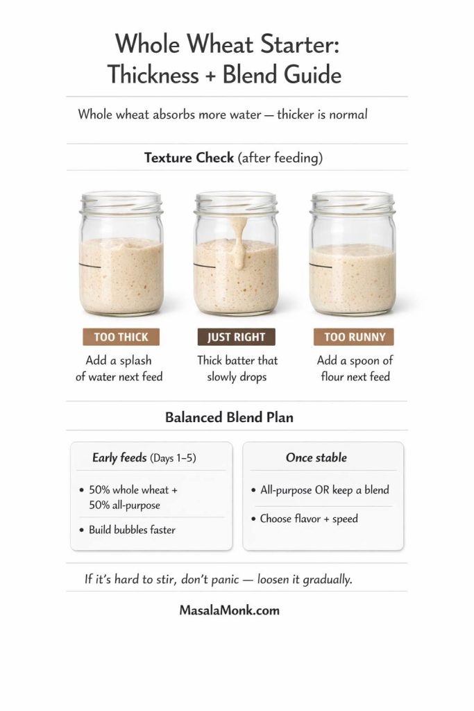 Infographic titled “Whole Wheat Starter: Thickness + Blend Guide” explaining that whole wheat absorbs more water so thicker starter is normal. Three panels show texture checks after feeding: “Too Thick—Add a splash of water next feed,” “Just Right—Thick batter that slowly drops,” and “Too Runny—Add a spoon of flour next feed.” A “Balanced Blend Plan” suggests early feeds (Days 1–5) use 50% whole wheat + 50% all-purpose to build bubbles faster, then once stable use all-purpose or keep a blend to choose flavor and speed. Tip says: “If it’s hard to stir, don’t panic — loosen it gradually.” Footer: MasalaMonk.com.