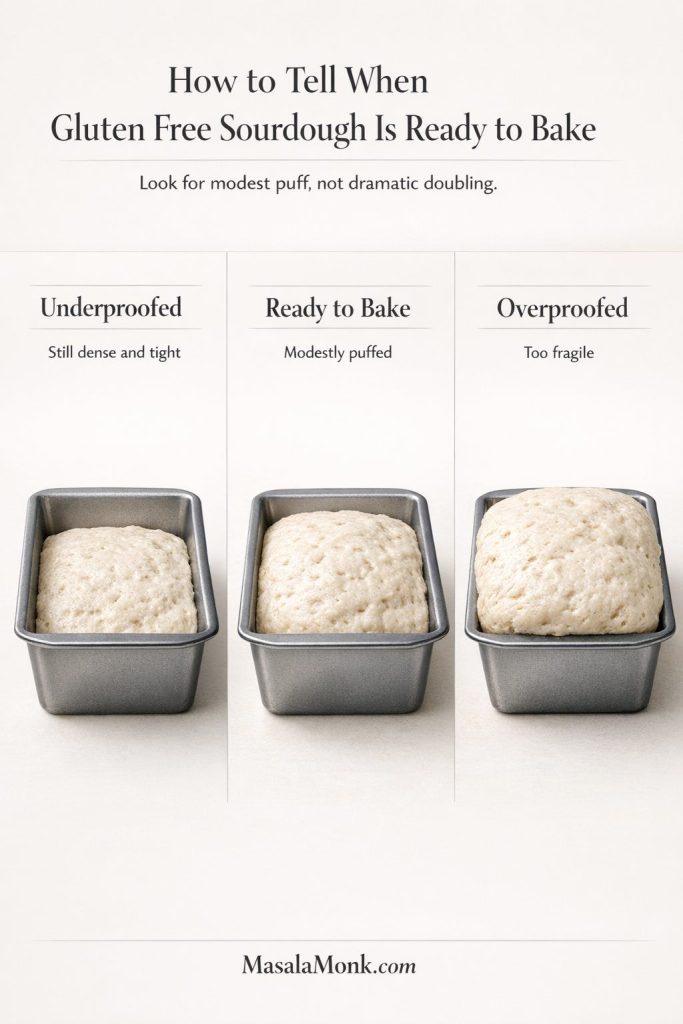 Proofing guide for gluten free sourdough bread showing underproofed, ready-to-bake, and overproofed dough in loaf pans.