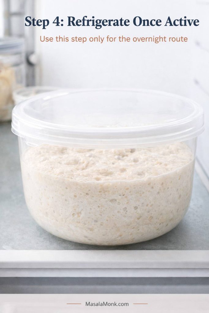Step 4 process image for sourdough English muffins showing lightly active dough in a covered container, ready to be refrigerated for the overnight route after it has already started fermenting.