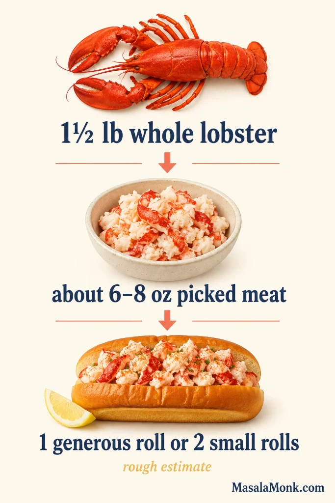 Infographic showing a one and a half pound whole lobster yielding about six to eight ounces of picked meat for one generous roll or two small rolls.