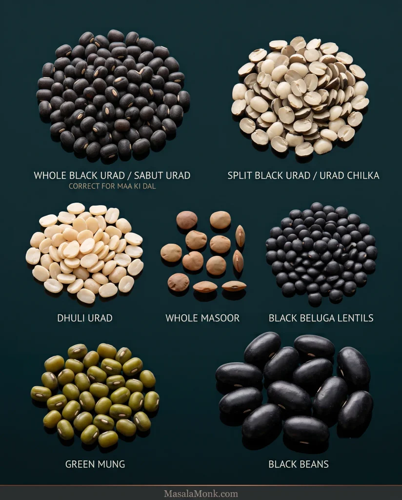 Seven labelled pulse types compared together: whole black urad or sabut urad marked correct for Maa Ki Dal, split black urad, dhuli urad, whole masoor, black beluga lentils, green mung and much larger black beans.