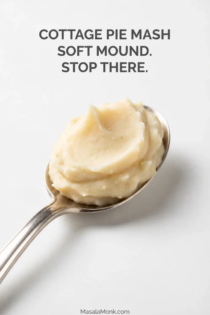 Spoon holding a pale creamy mound of mashed potato against a white background, with the mash keeping a soft rounded shape.