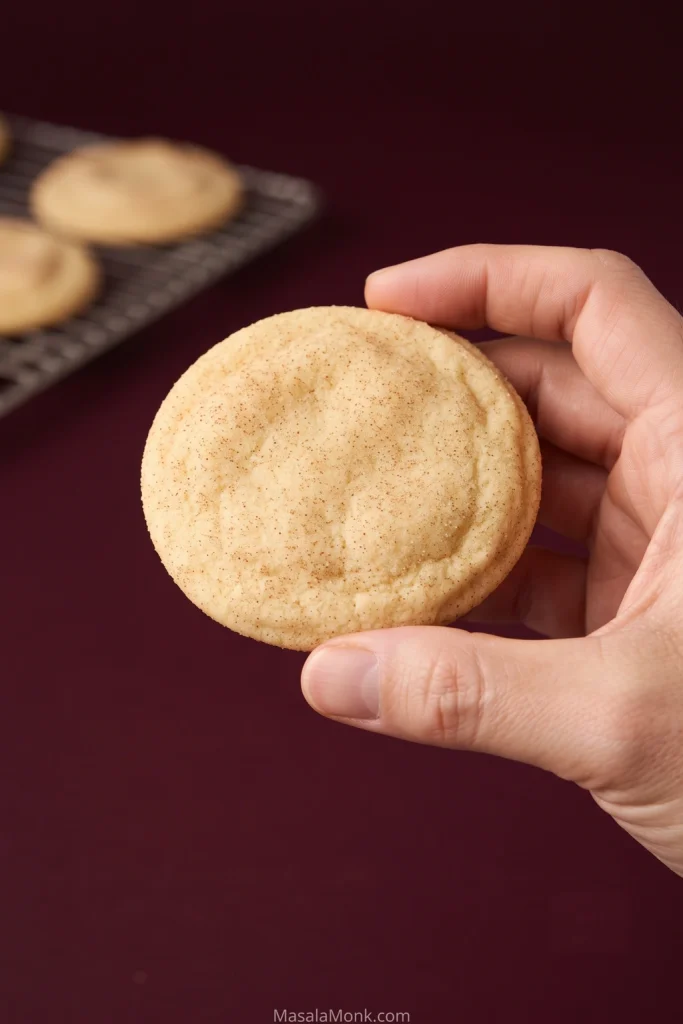 A hand holding a homemade Snickerdoodle with fine cinnamon-sugar coverage, a lightly golden edge and subtle natural surface irregularities.